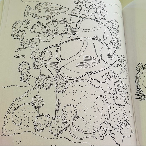 Dover Coloring Coral Reef 🪸🐠 Paperback Coloring Activity Book - Picture 5 of 9